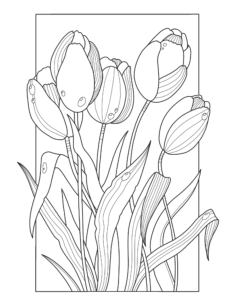 Flower Tulips Tracing Shape Pdf, Free Vectors File